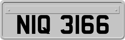 NIQ3166