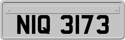 NIQ3173