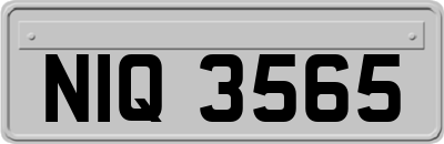 NIQ3565