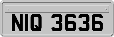 NIQ3636