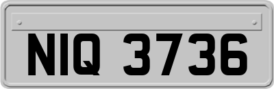 NIQ3736