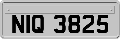 NIQ3825