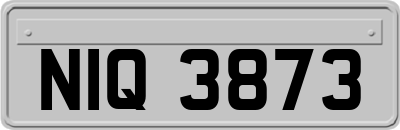 NIQ3873