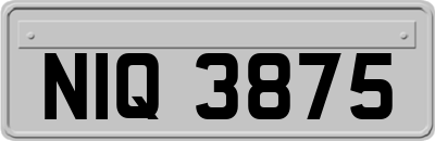 NIQ3875