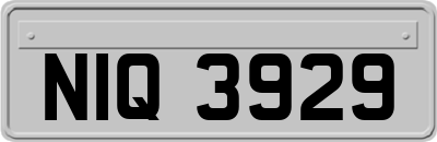 NIQ3929