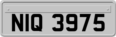 NIQ3975