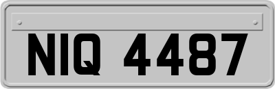 NIQ4487