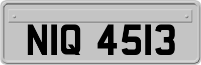 NIQ4513