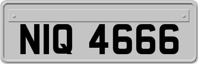NIQ4666