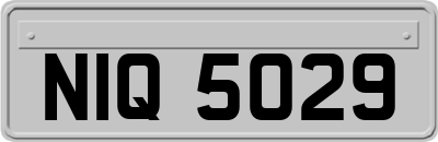 NIQ5029