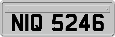 NIQ5246