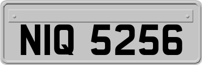 NIQ5256