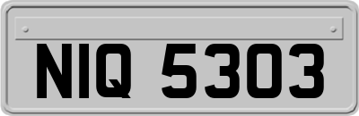 NIQ5303