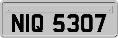 NIQ5307