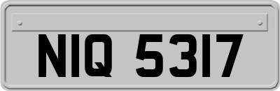 NIQ5317