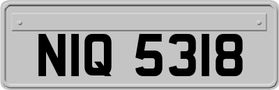 NIQ5318