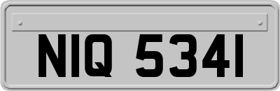 NIQ5341
