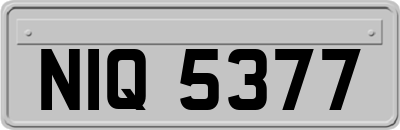 NIQ5377