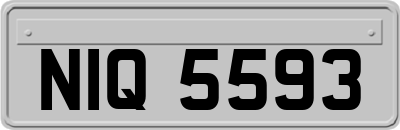 NIQ5593