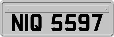 NIQ5597