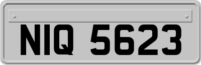 NIQ5623