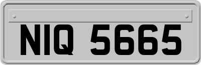 NIQ5665