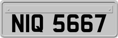 NIQ5667