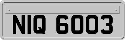 NIQ6003
