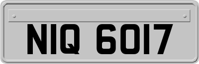 NIQ6017