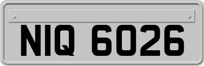 NIQ6026
