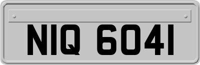 NIQ6041