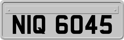 NIQ6045