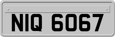 NIQ6067