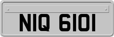 NIQ6101