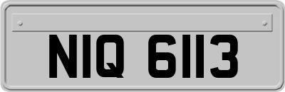 NIQ6113