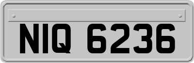 NIQ6236