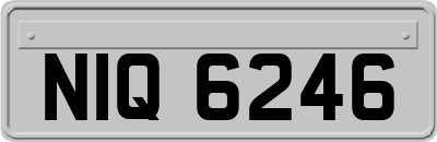 NIQ6246