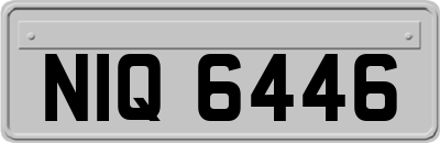 NIQ6446