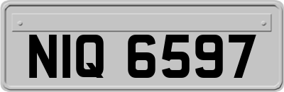 NIQ6597