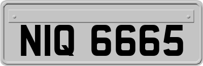 NIQ6665