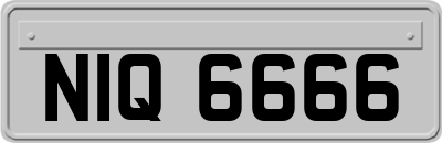 NIQ6666