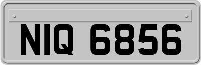 NIQ6856