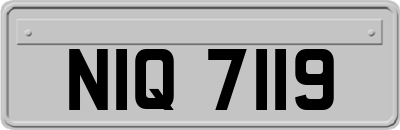 NIQ7119