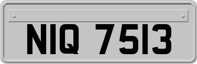 NIQ7513