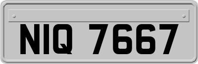 NIQ7667