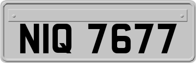 NIQ7677