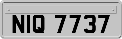 NIQ7737