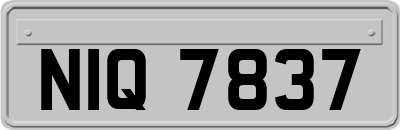 NIQ7837