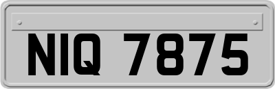 NIQ7875