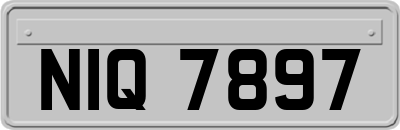NIQ7897